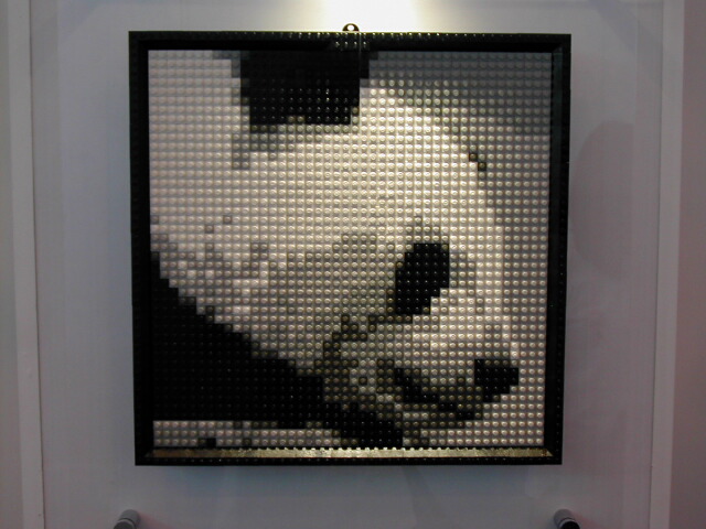 dscn0332.jpg
