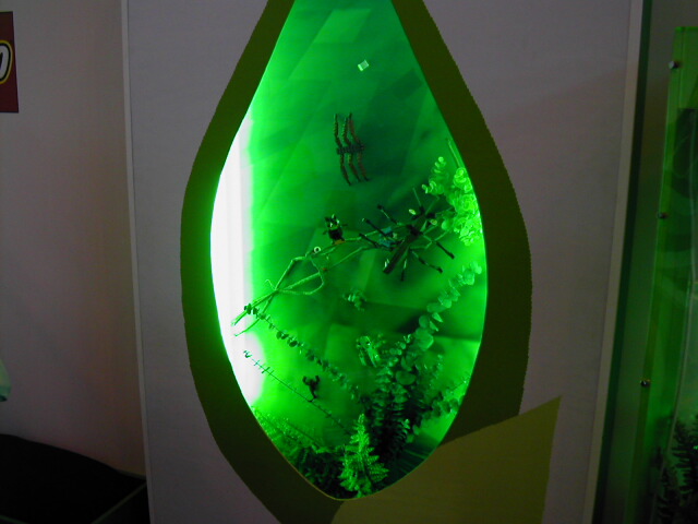 dscn0273.jpg