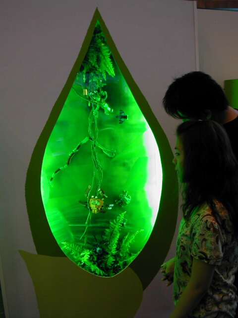 dscn0274.jpg