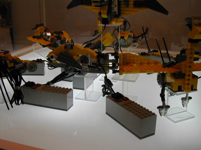dscn0283.jpg