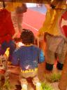 dscn0366.jpg