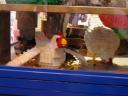 dscn0369.jpg