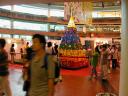 dscn0402.jpg