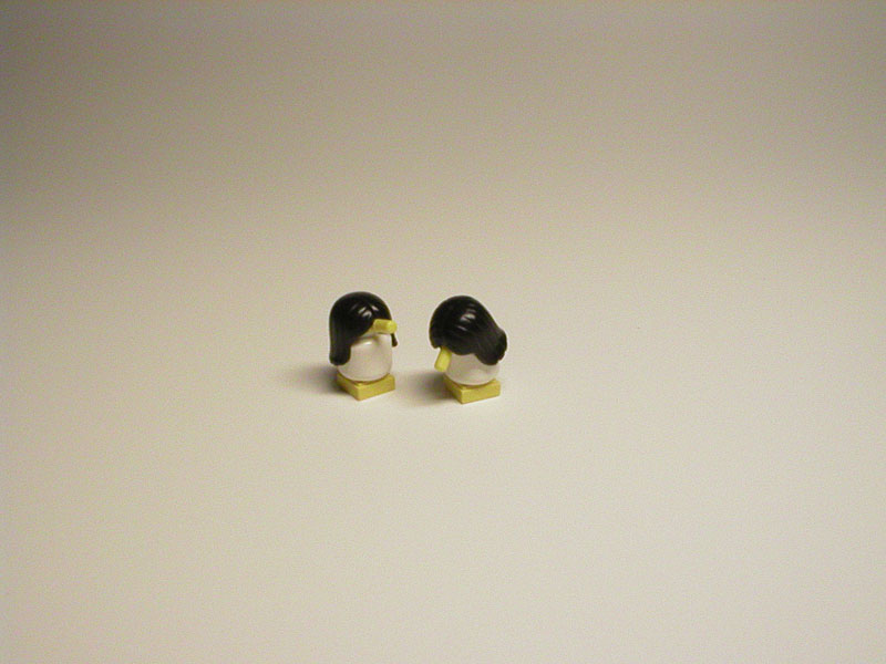 penguins-003.jpg