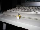 microcreature003a.jpg