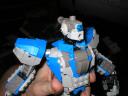 alm014-d005.jpg