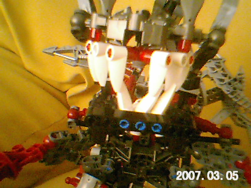 imagem_010.jpg