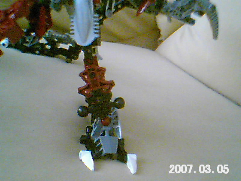 imagem_019.jpg