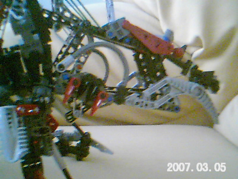 imagem_021.jpg