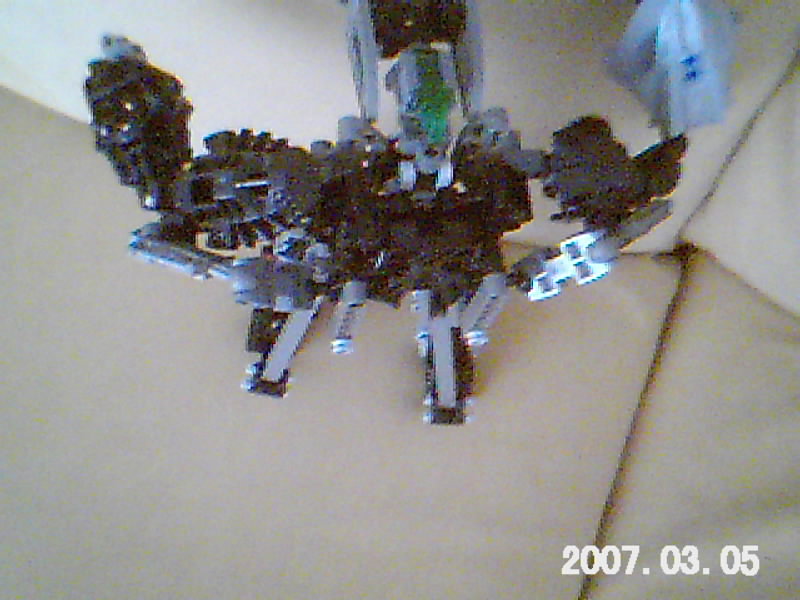 imagem_008.jpg