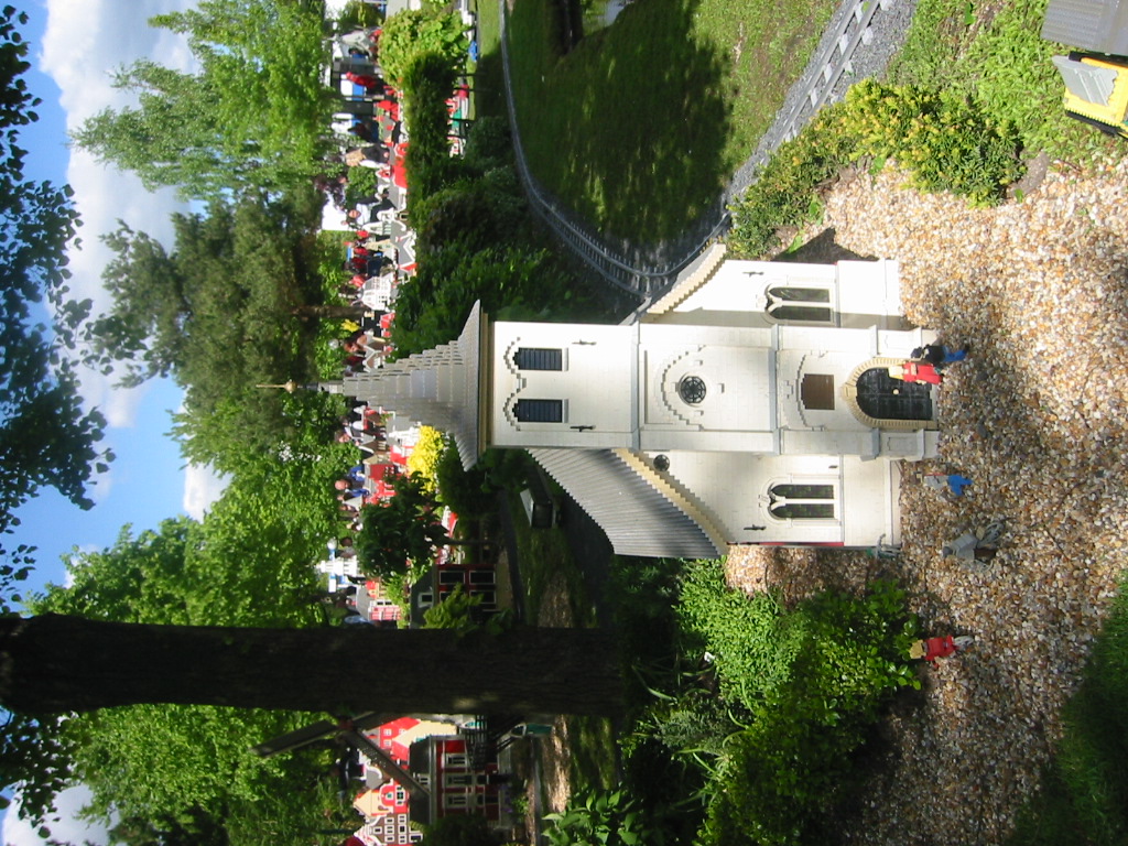 81.jpg