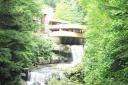 fallingwater.jpg