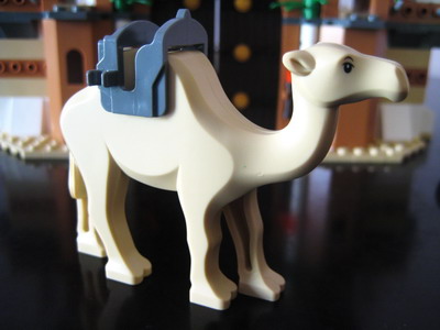 7573_camel.jpg