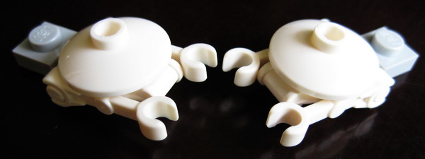 21100_crab2.jpg