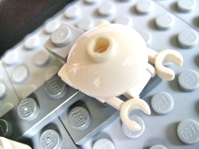21100_crab4.jpg