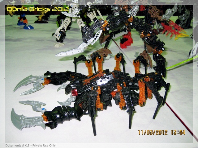 db2012_bio_08.jpg