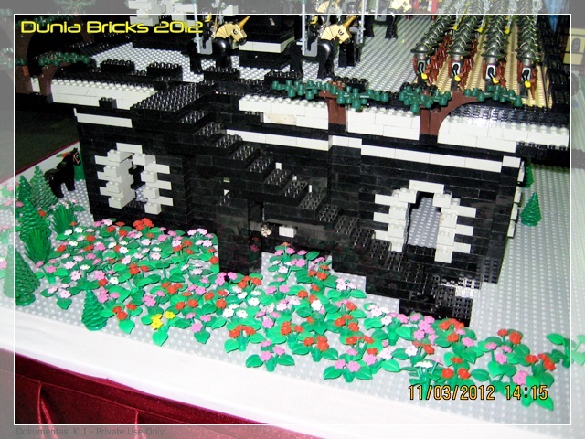db2012_cas_05.jpg