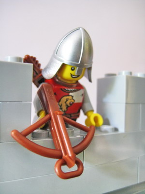 wall_v1_roof3.jpg