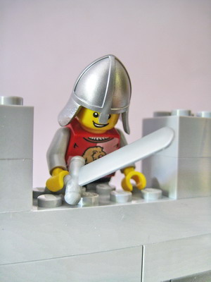 wall_v1_roof4.jpg