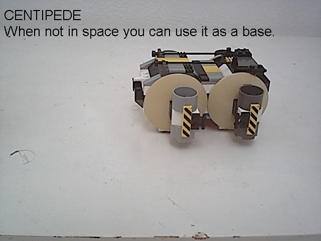 centipede3.jpg