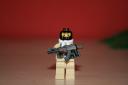 brickarms_010.jpg