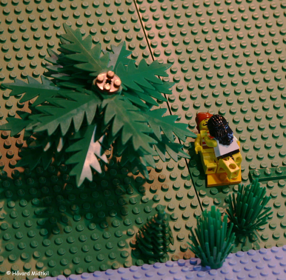 in_the_bushes.jpg