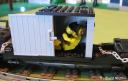 in_the_container.jpg