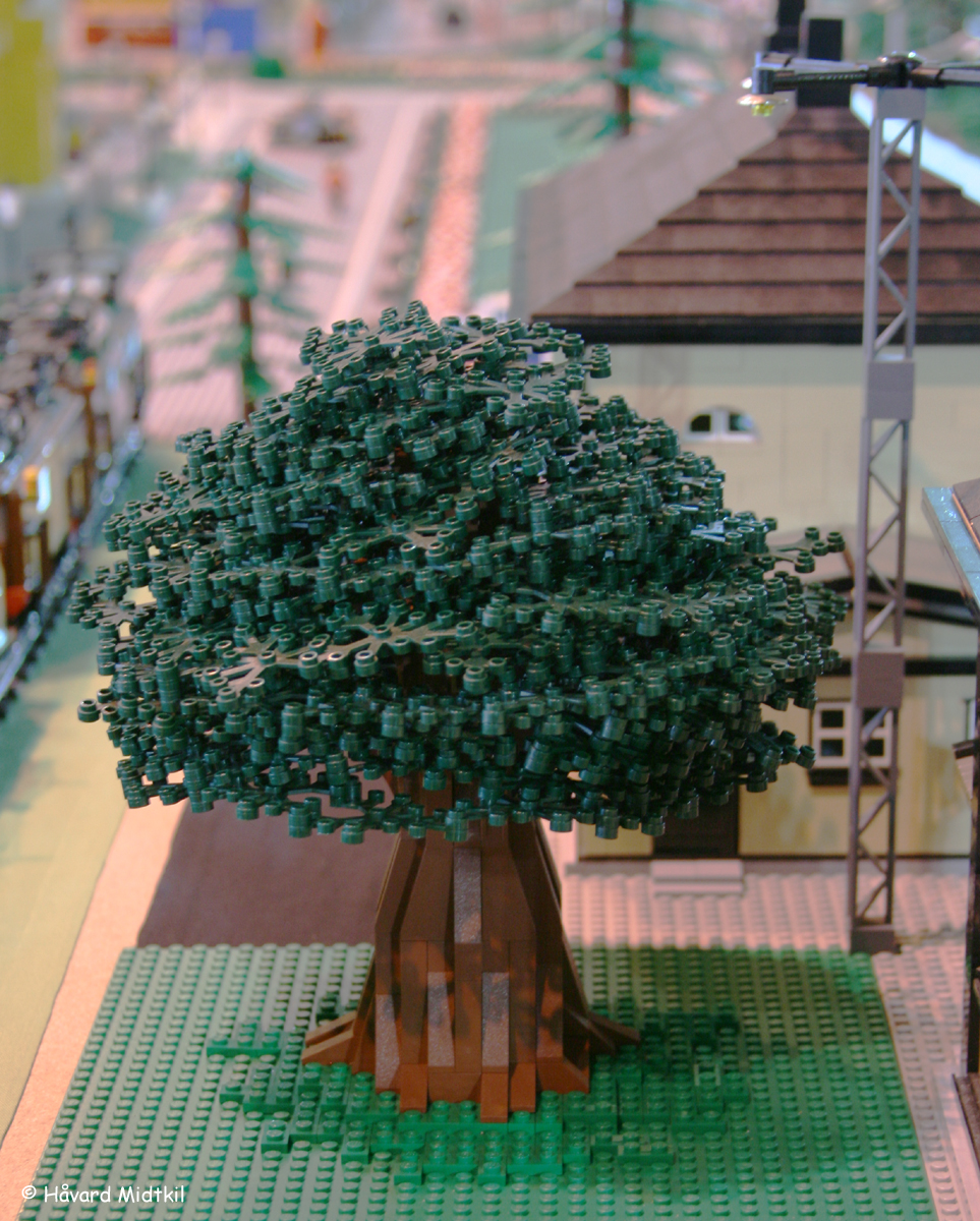 tree.jpg
