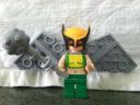 hawkgirl.jpg