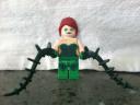 poison_ivy.jpg
