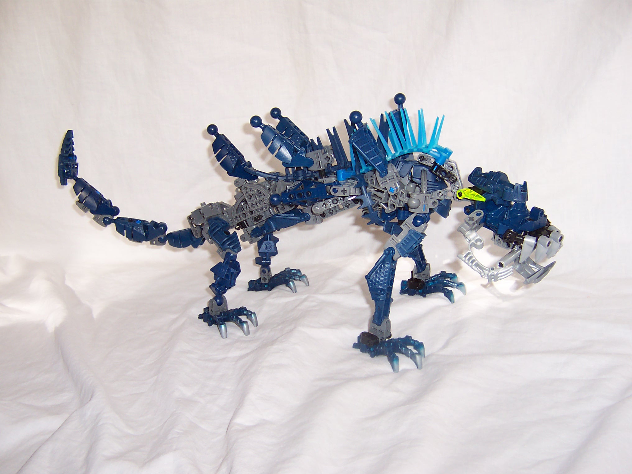 chameleon_010.jpg