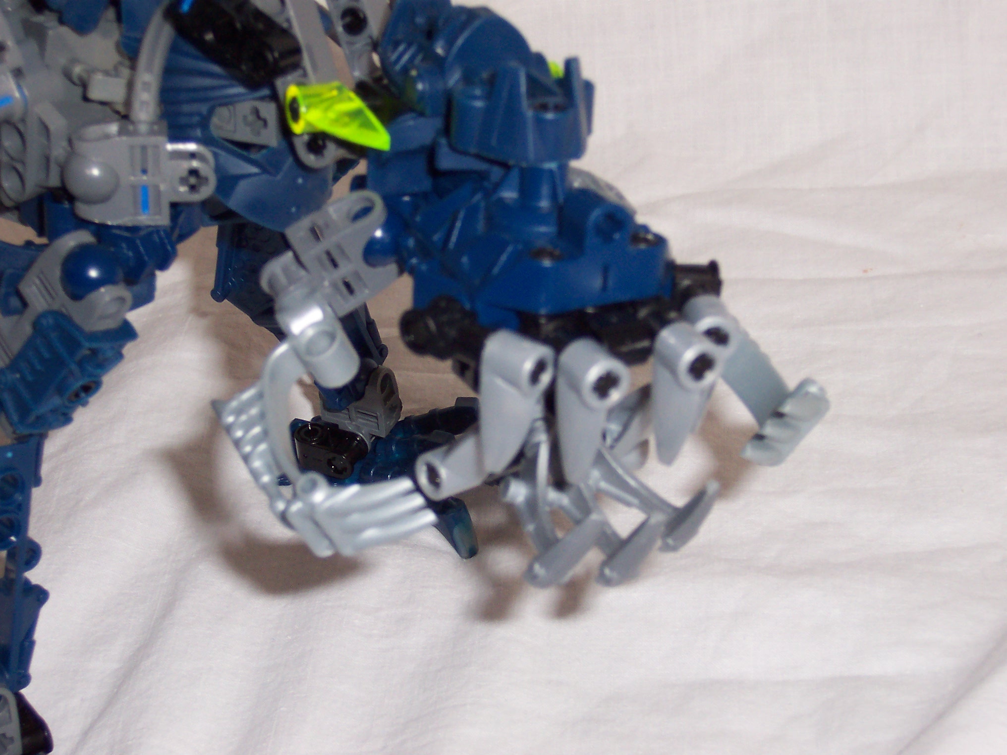 chameleon_011.jpg