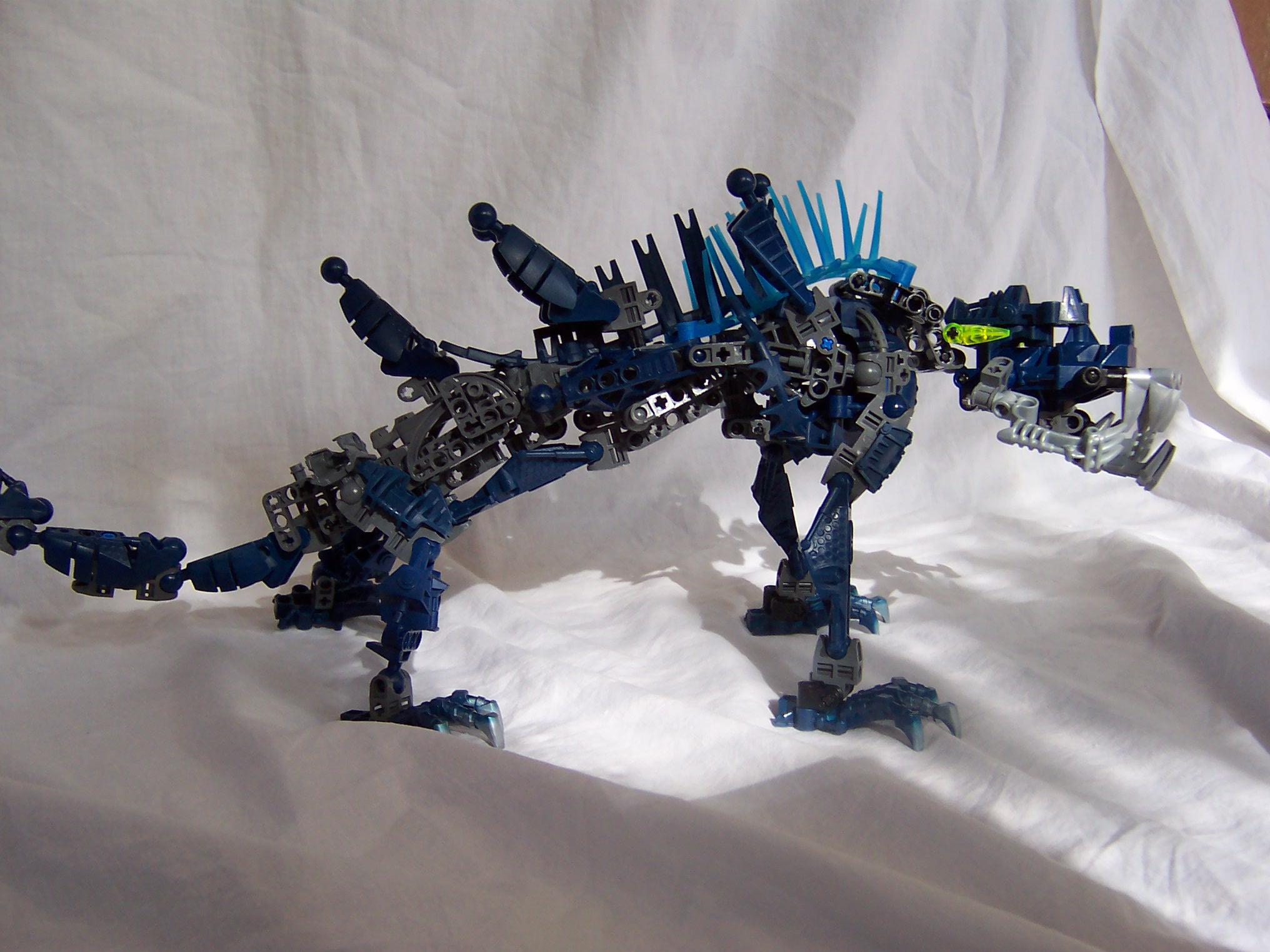 chameleon_012.jpg
