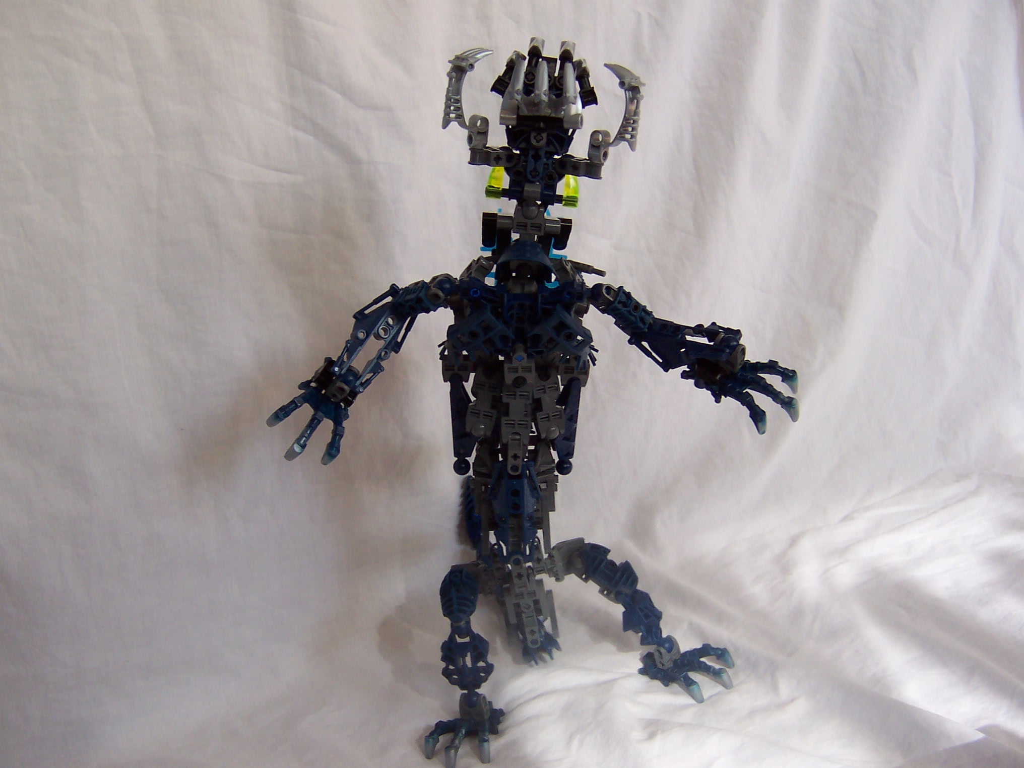 chameleon_013.jpg
