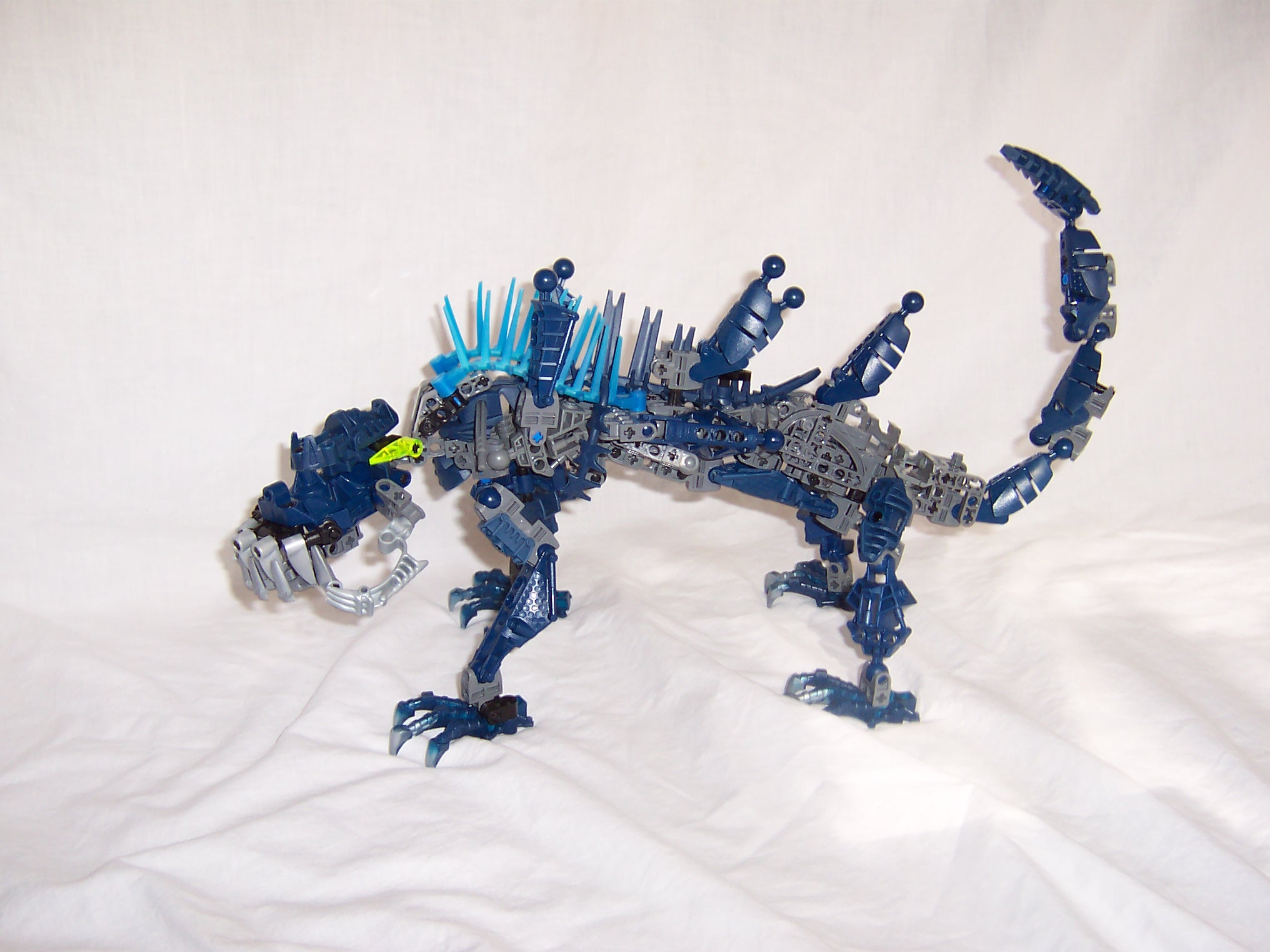 chameleon_014.jpg