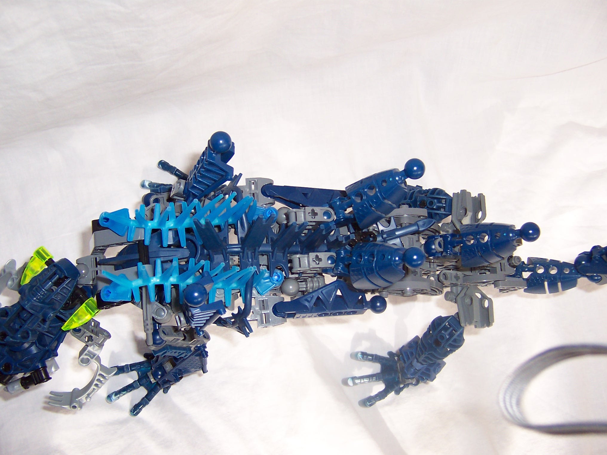 chameleon_015.jpg