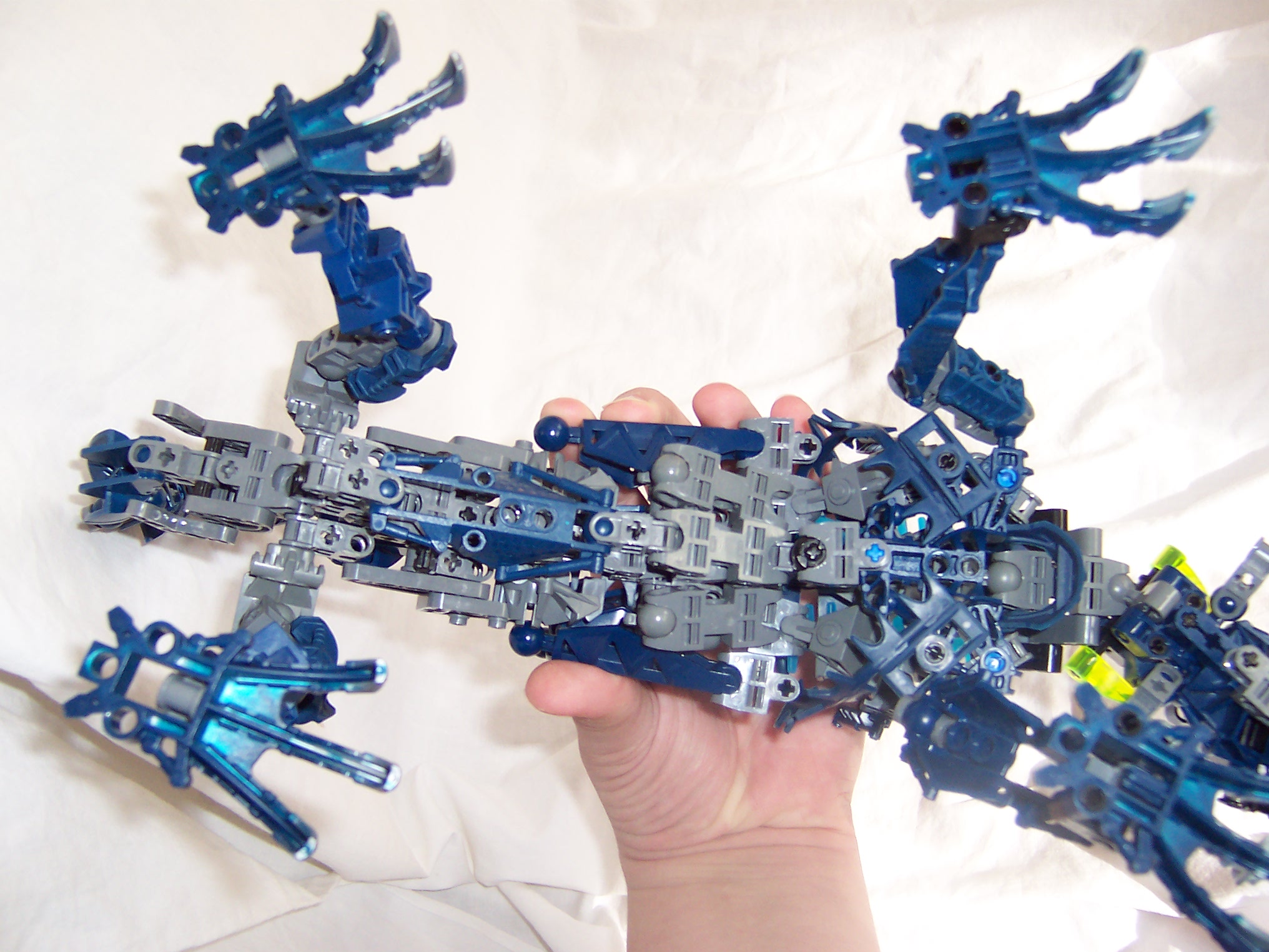 chameleon_016.jpg