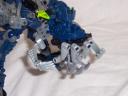chameleon_011.jpg