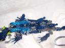 chameleon_015.jpg