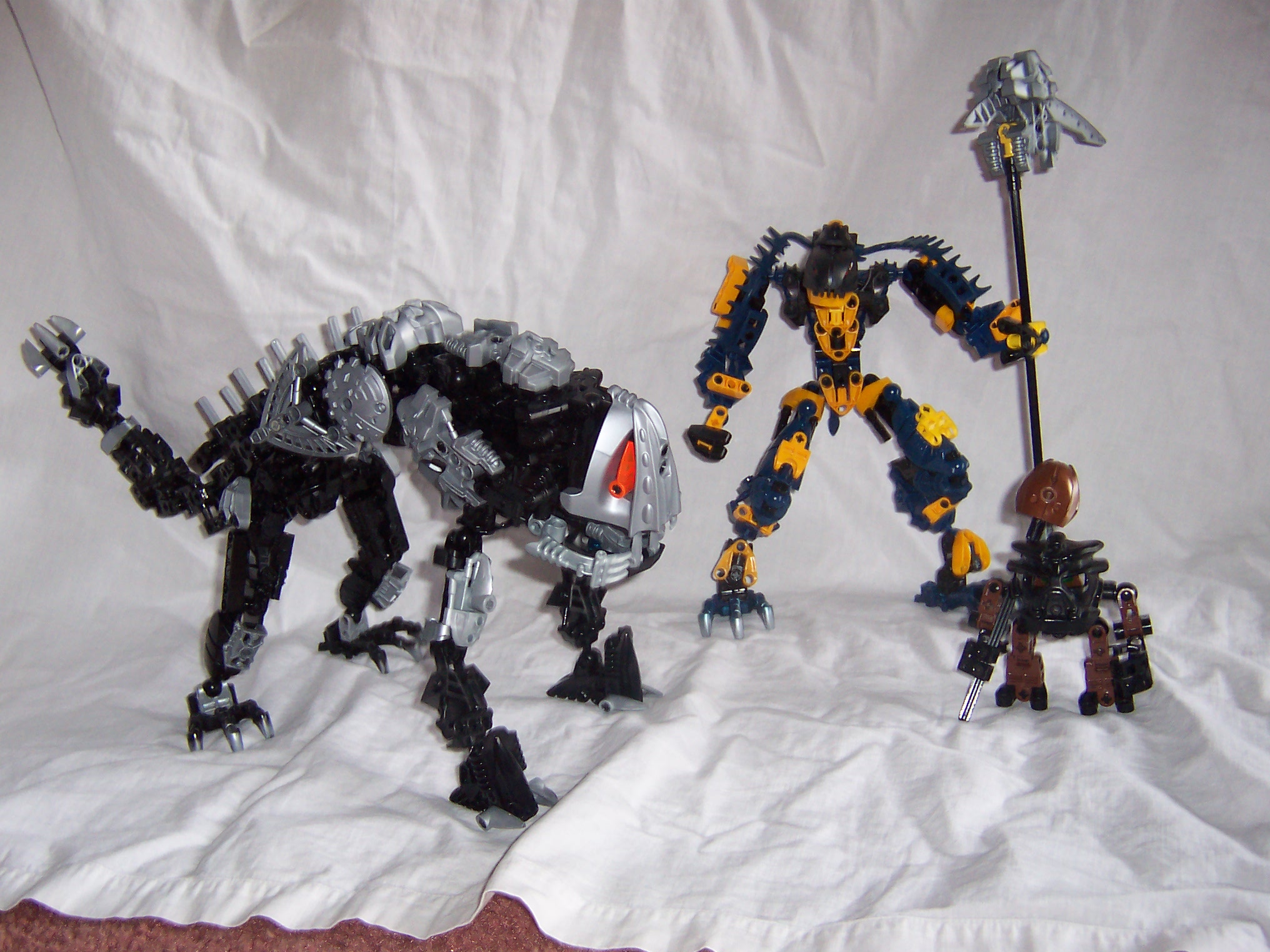 mocs_002.jpg