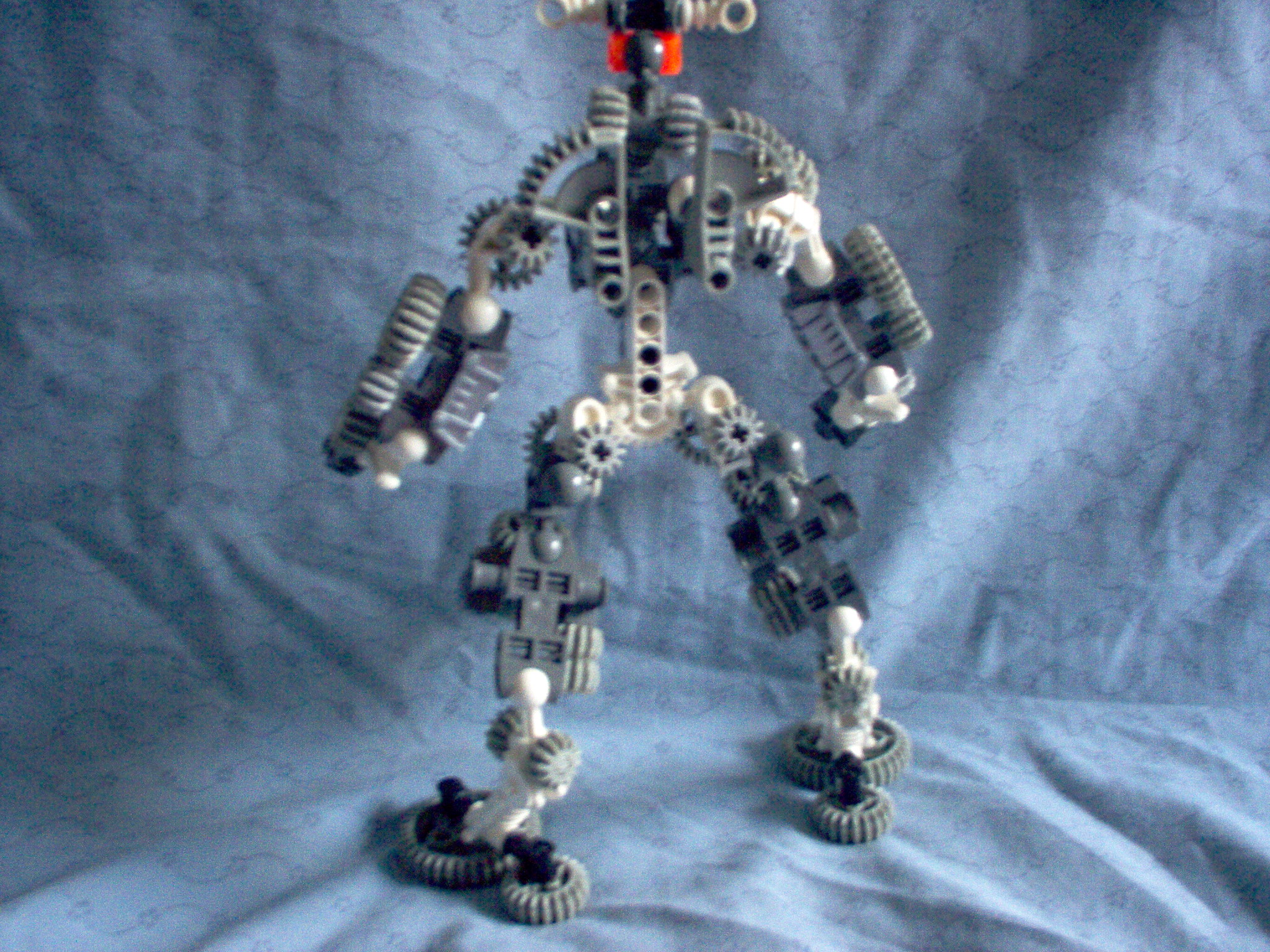im000193.jpg