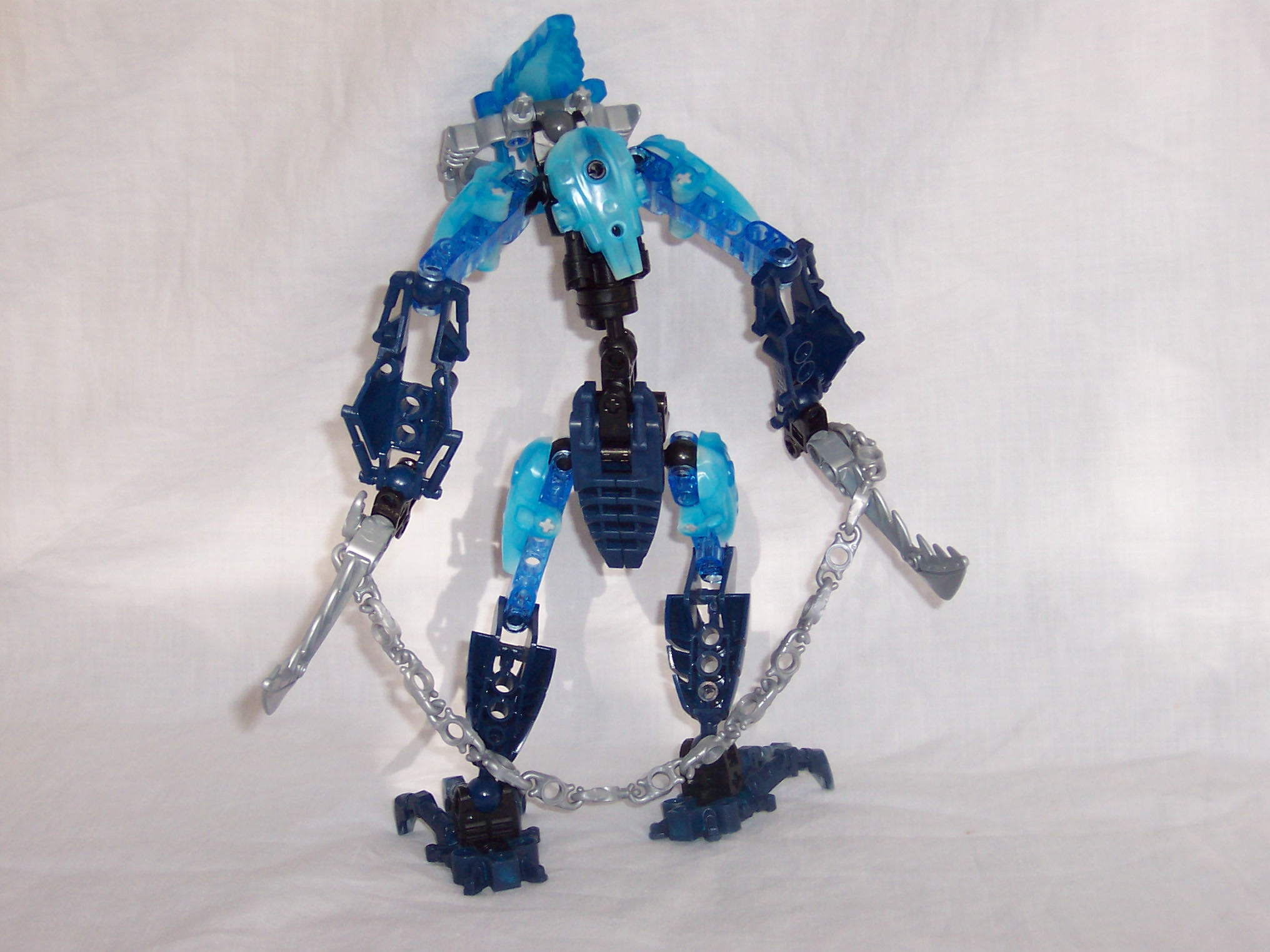 chameleon_008.jpg