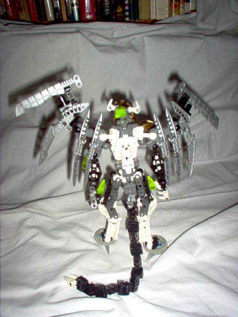 im000782.jpg