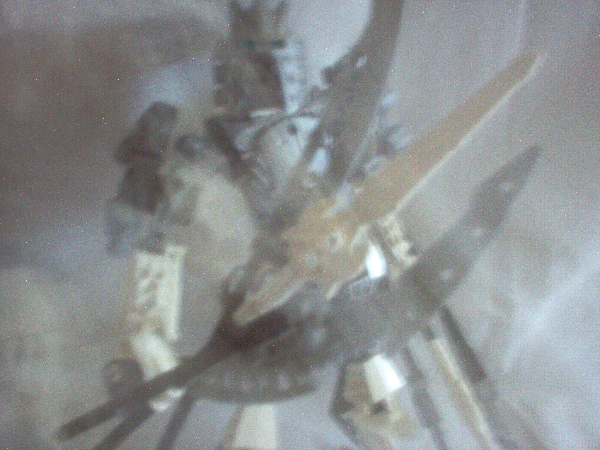 im000271.jpg