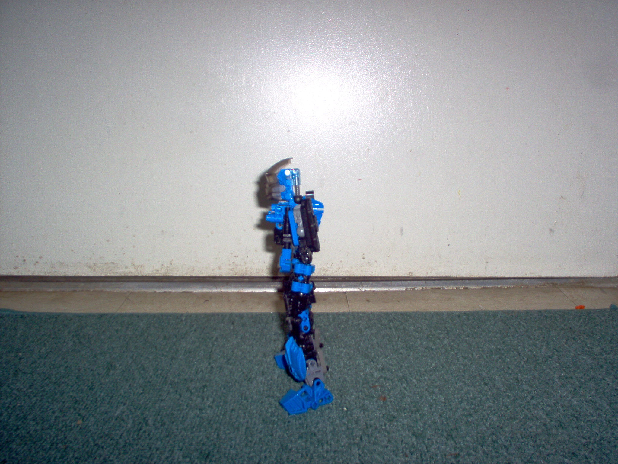 im000480.jpg