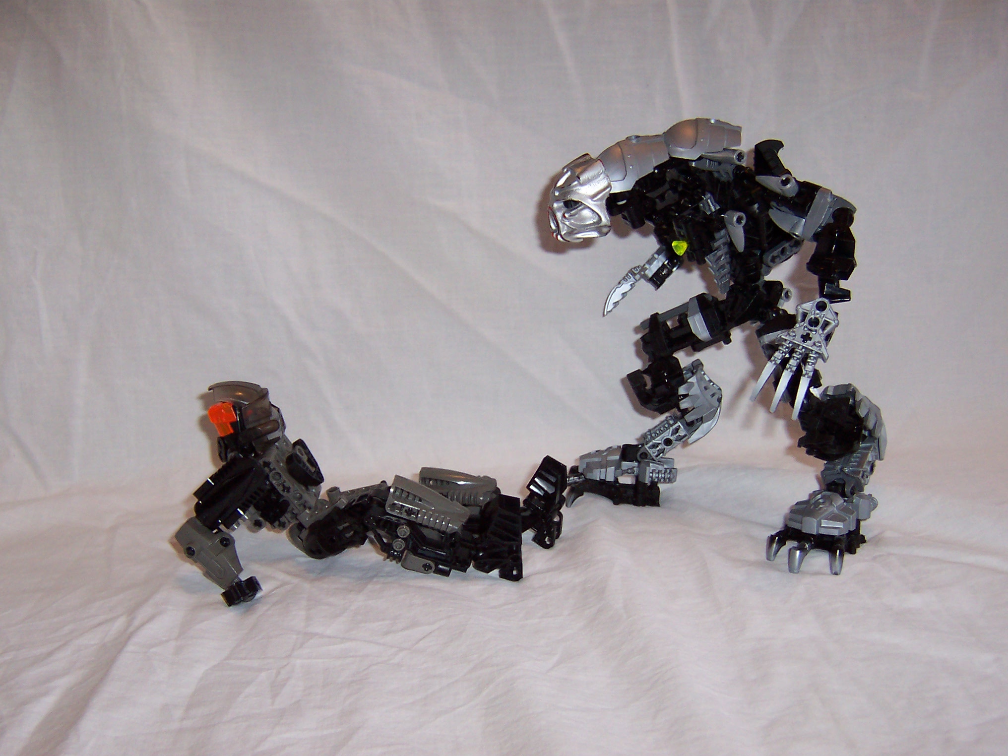 fight1.jpg