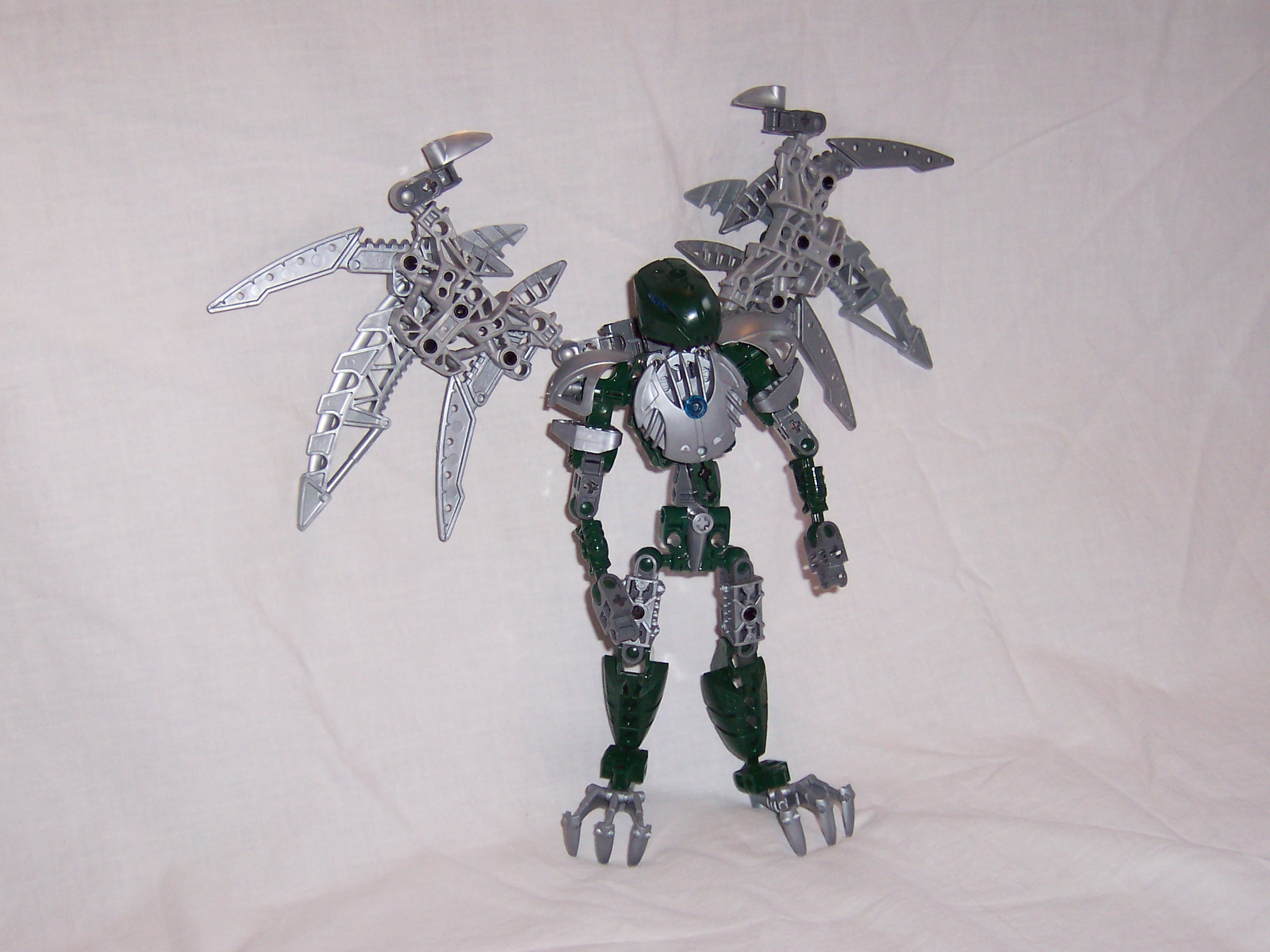 hawk.jpg