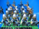 CrownKnights