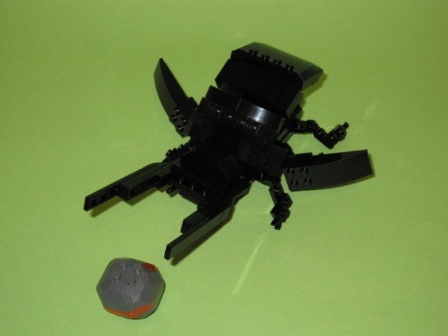 img_0111.jpg