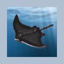 signature-and-avatar